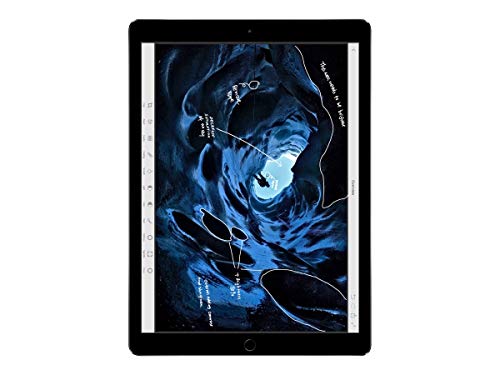 آبل آيباد برو (256 جيجابايت ، شبكة Wi-Fi + شبكة خلوية ، رمادي فلكي) شاشة مقاس 12.9 بوصة ML3T2LL / A (متجددة) آبل آيباد برو (256 جيجابايت ، شبكة Wi-Fi + شبكة خلوية ، رمادي فلكي) شاشة مقاس 12.9 بوصة ML3T2LL / A (متجددة)